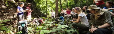 Wheaton College IL Environmental Science students on Chiang Mai Forest Study