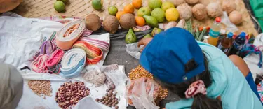 Student with seeds fruits and vegetables
