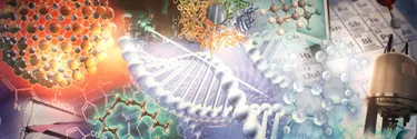 Meyer Science Center Mural