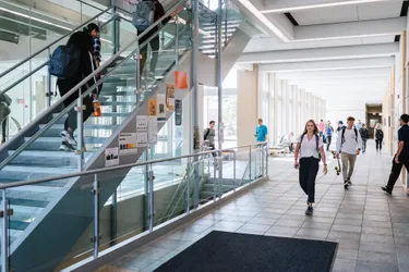 Meyer Science Center Interior Stairway
