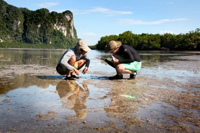 Students in Thailand conducting research for a mudflat study