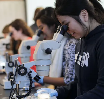 Wheaton College Students Looking in Microscopes in Biology Lab