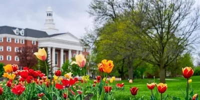 Billy Graham Hall with tulips