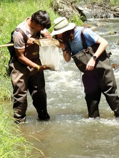 Wheaton Conservation and Ecology Students Doing Stream Ecology Work