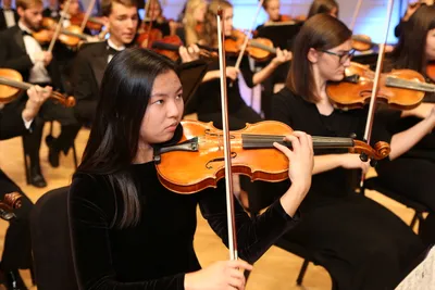 Symphony Orchestra Violinist Wheaton College IL