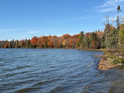 honeyrock-in-fall