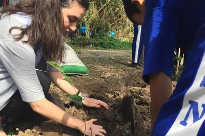 HNGR Student planting 