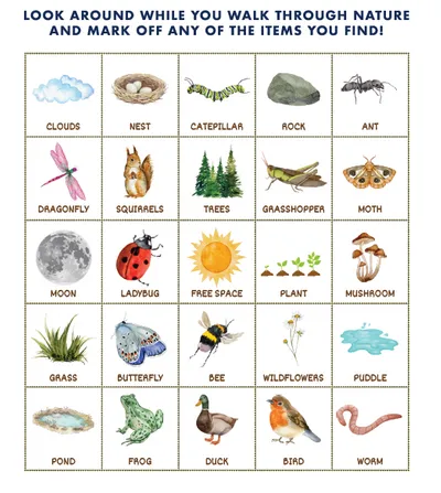 photos of different things one finds on a walk