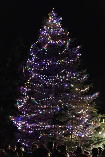 Wheaton College Christmas Tree Lighting