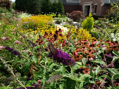 Aslan’s Garden in Summer