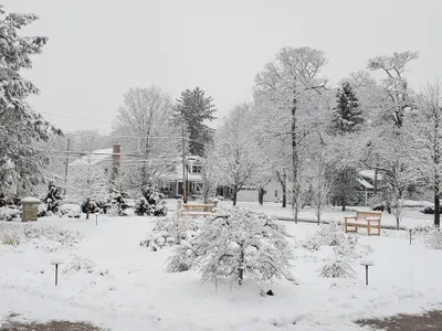 Aslan’s Garden in Winter