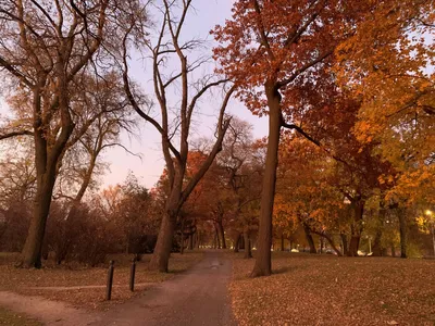 Washington_Park_in_Fall