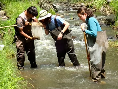 Black Hills Science Center Stream Work Summer 2019