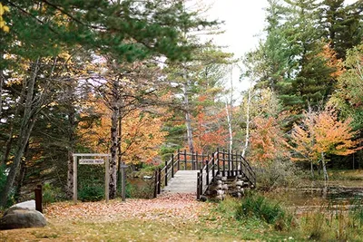 A bridge over a lake in the woods