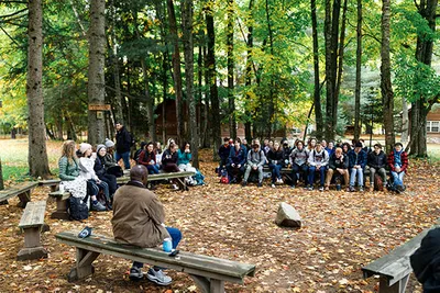 A group of students taking a class in the woods