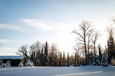 A house and some trees covered by snow