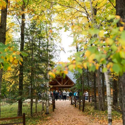 1-yellow-green-leaves-HoneyRock-Fall2020