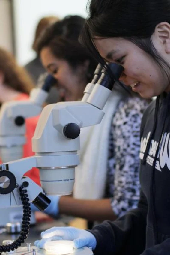 Wheaton Student Looking into Microscope in Biology Lab