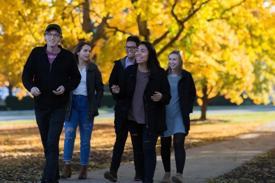 Wheaton College IL students walking under golden yellow trees
