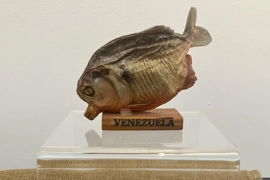 920x613 Piranha