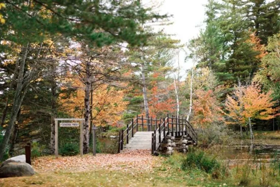 bridge in fall at honeyrock