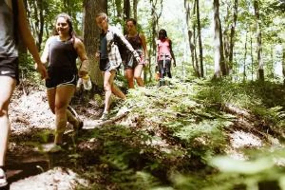 women hiking in forest