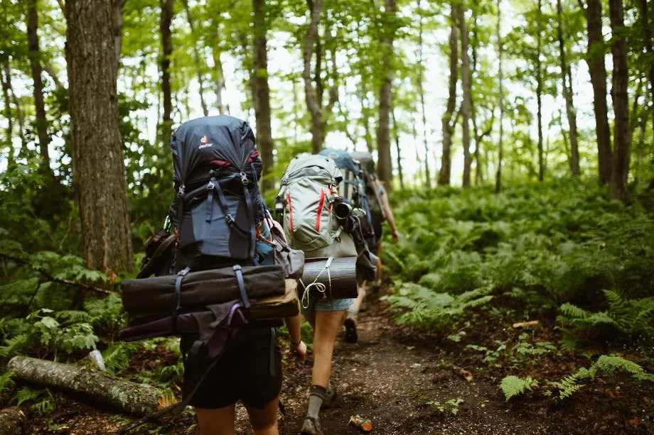 Students hiking on wooded trail Our People Variant