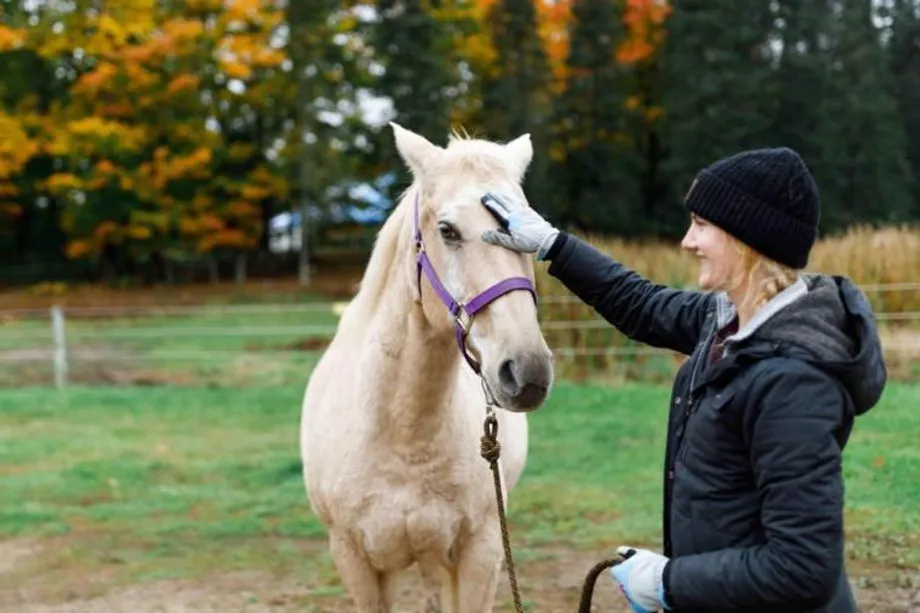 student and horse at honeyrock