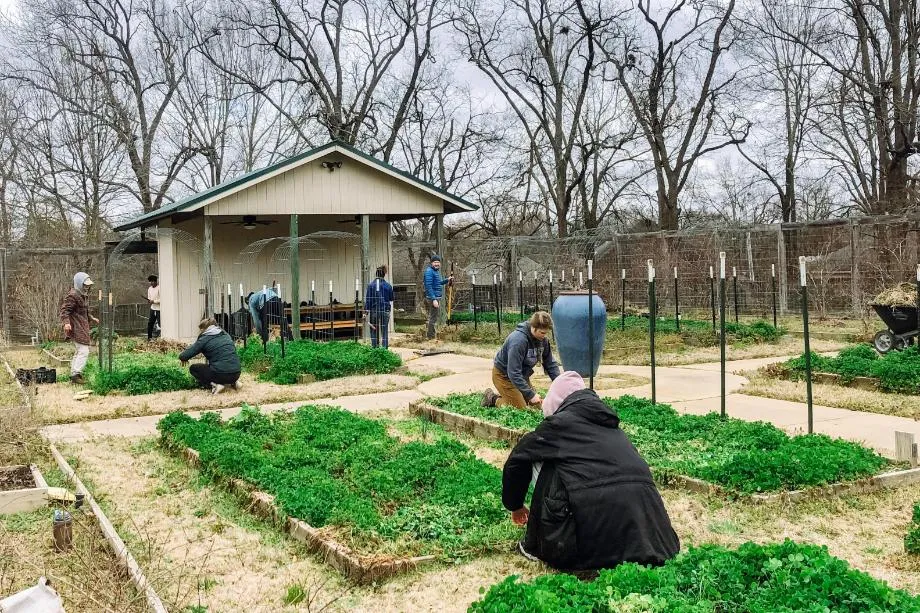 Some people working at the garden