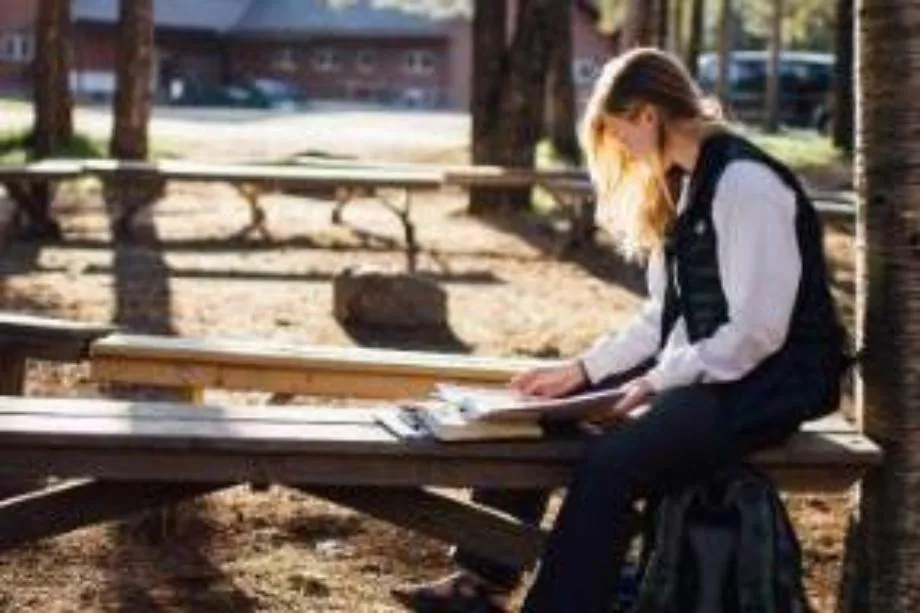 student studying in the northwoods