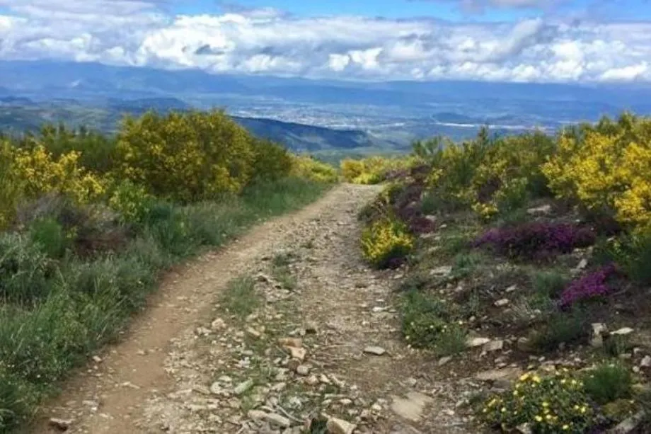 Santiago Pilgrimage by Wheaton College students