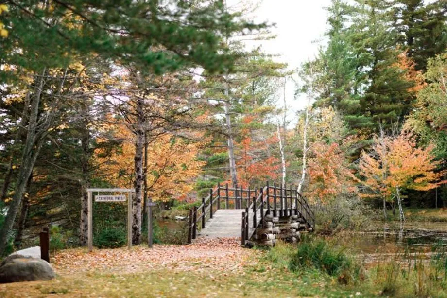 bridge in fall at honeyrock