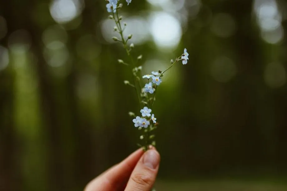 student holding a flower
