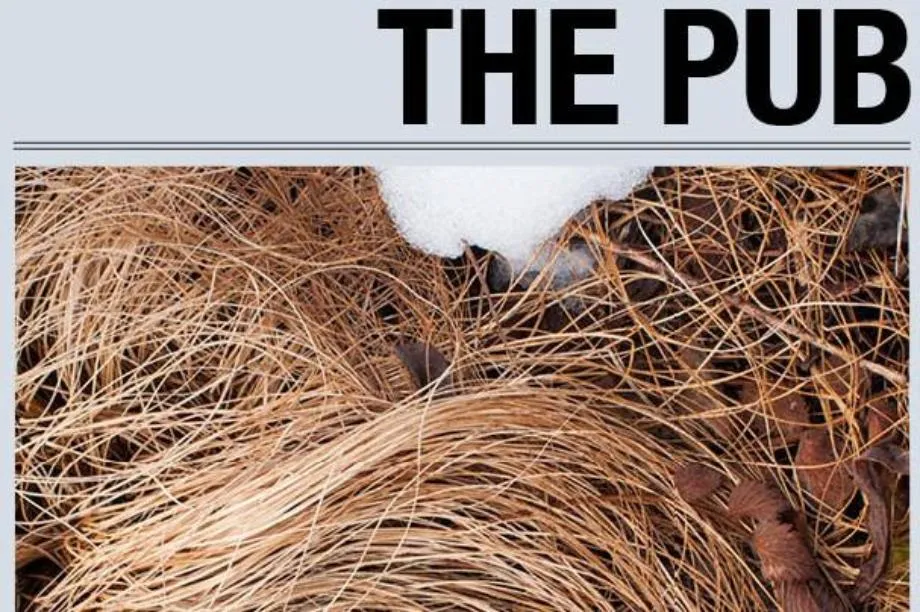 The Pub Independent Literary Magazine at Wheaton College IL