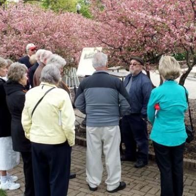 Bob and Flowering Trees