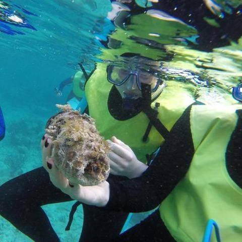 Students snorkeling underwater