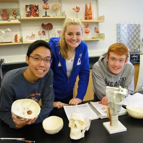Students in lab looking at skulls