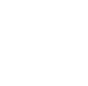 Wheaton College Center for Applied Christian Ethics CACE logo white