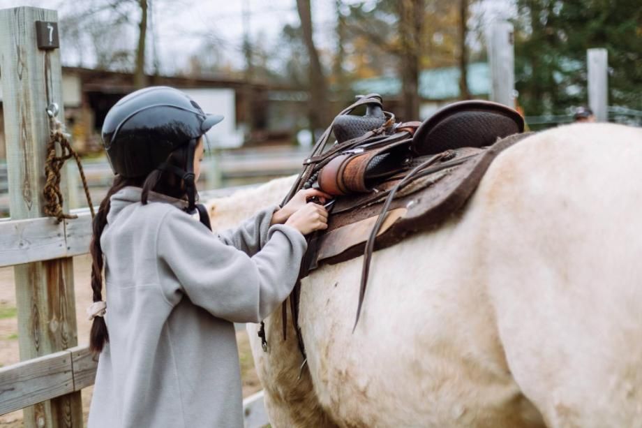 Equestrian - Learn the basic skills related to grooming and saddling