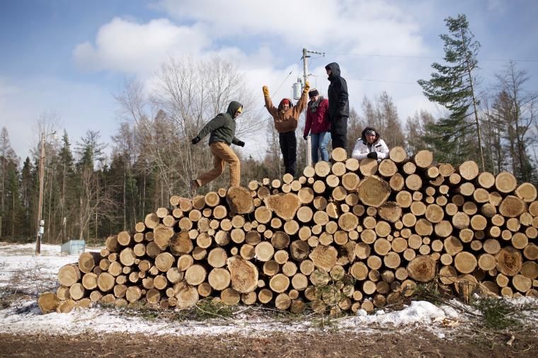 vanguards on log pile in northwoods wi