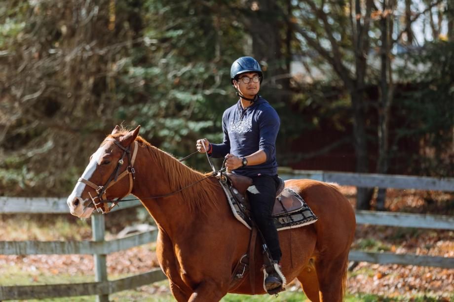Equestrian - Meet and work with a specific horse in HoneyRock’s herd of 20+ horses.