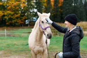 Equestrian - Learn how to ride and care for horses in HoneyRock’s Equestrian program.