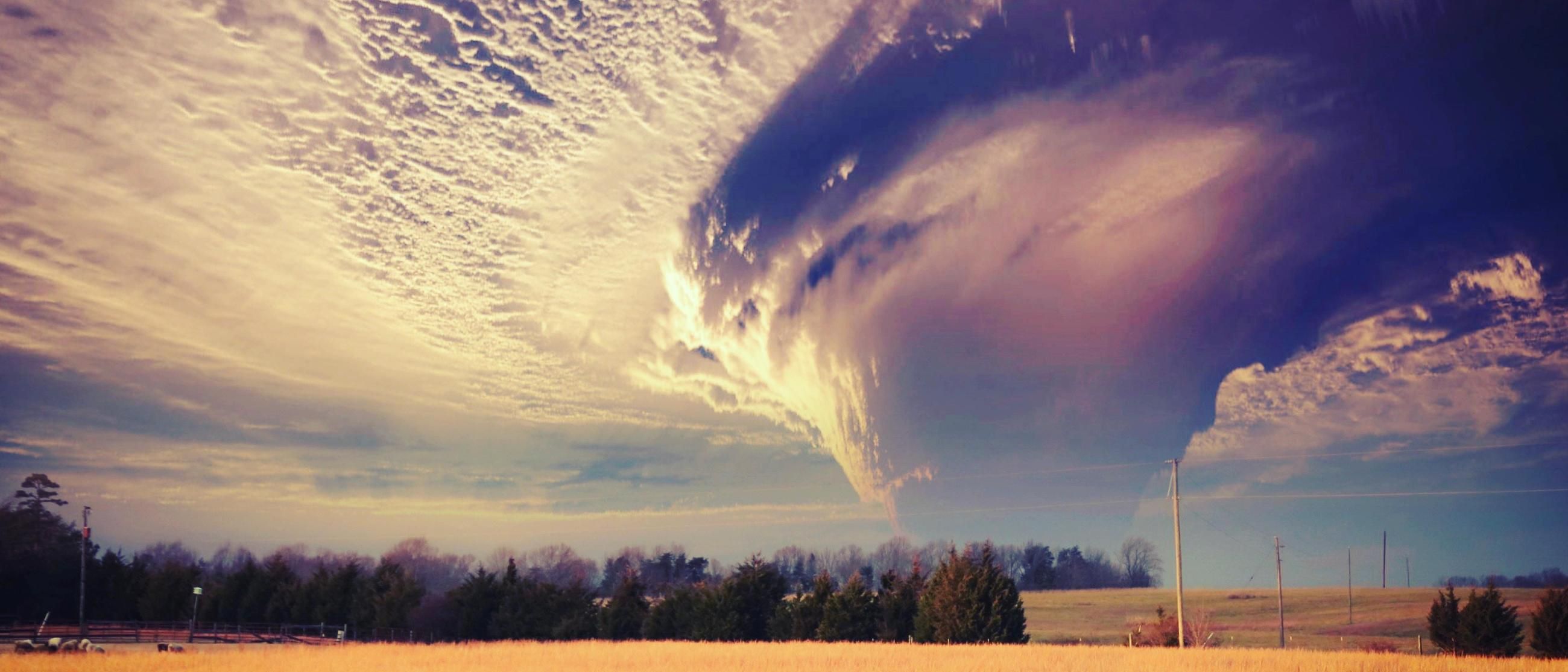 Massive Tornado in a Wheat Field 