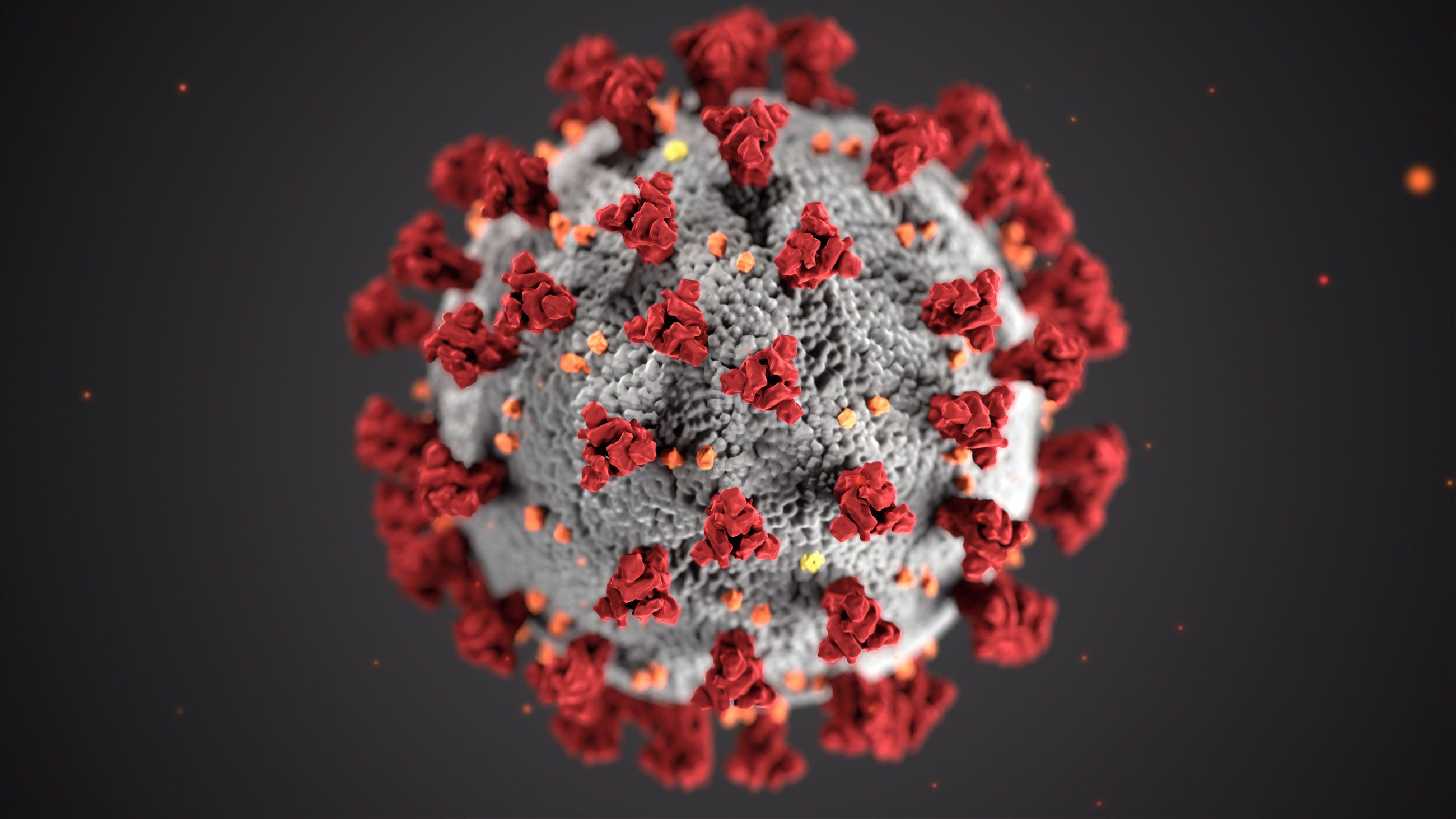 CDC Coronavirus cell