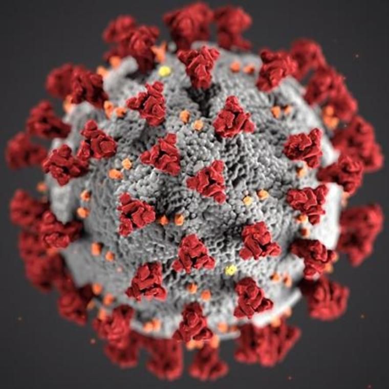 Coronavirus image