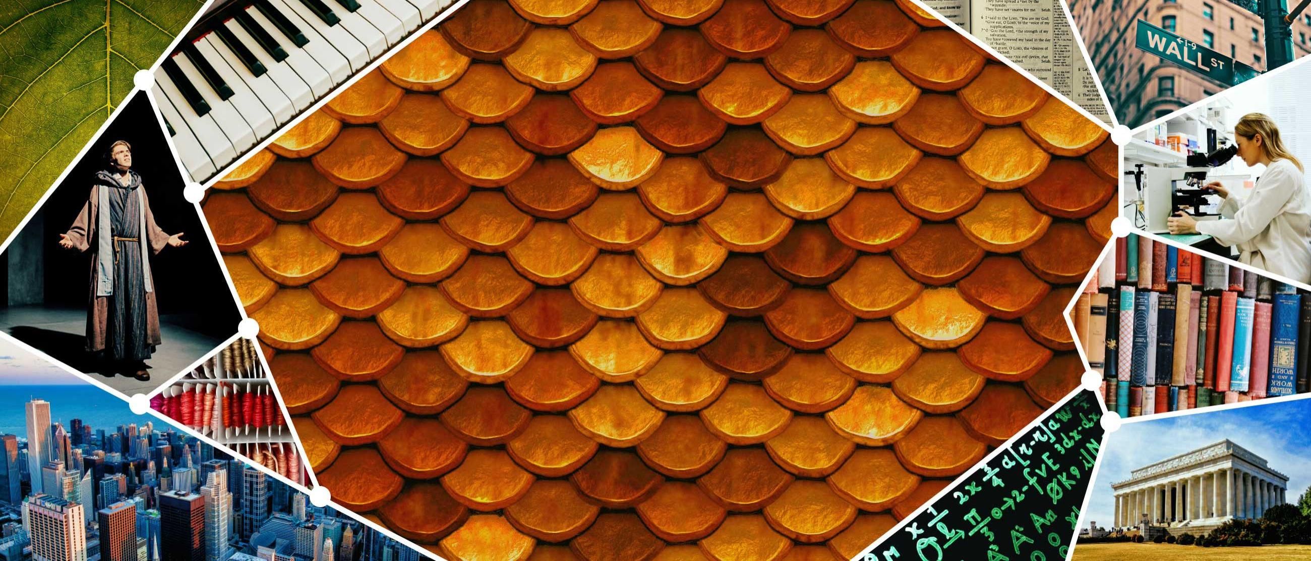 IDS Collage Banner