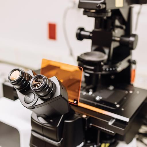 Wheaton College IL Confocal Microscope in Meyer Science Center