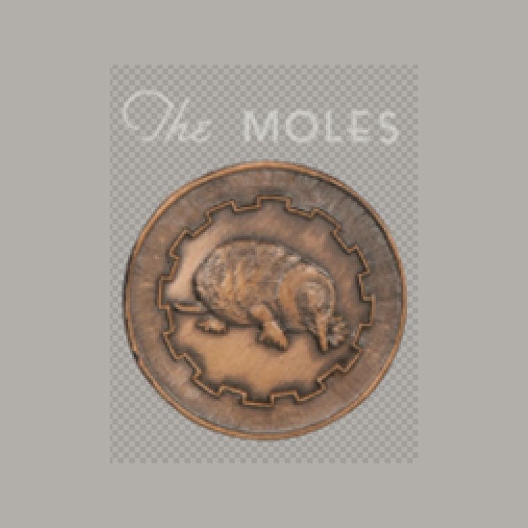 Mole image