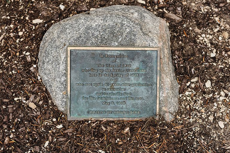 Per the Senior Cake tradition, which began
in 1925, seniors would bury a fruit cake on
the first day of the new academic year for
the juniors to find before the last day of
classes in May. The rivalry became so serious
(with juniors digging massive holes all
over campus) that the College administration
had to impose limitations on where the
cakes could be buried. One of many humorous
discoveries: The class of 1938 unearthed
the cake beneath six inches of concrete and
three feet of clay.